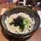 Cold Plain Udon